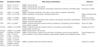 Solitary Median Maxillary Central Incisor Syndrome: An Exploration of the Pathogenic Mechanism